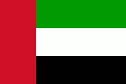 阿联酋U23 队徽